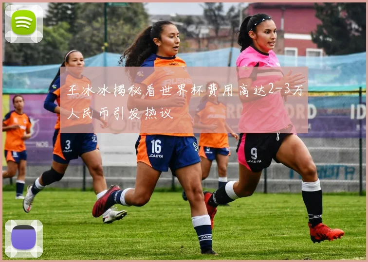 王冰冰揭秘看世界杯费用高达2-3万人民币引发热议